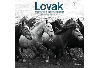 Lovak - Magyar írók, költők a lovakról