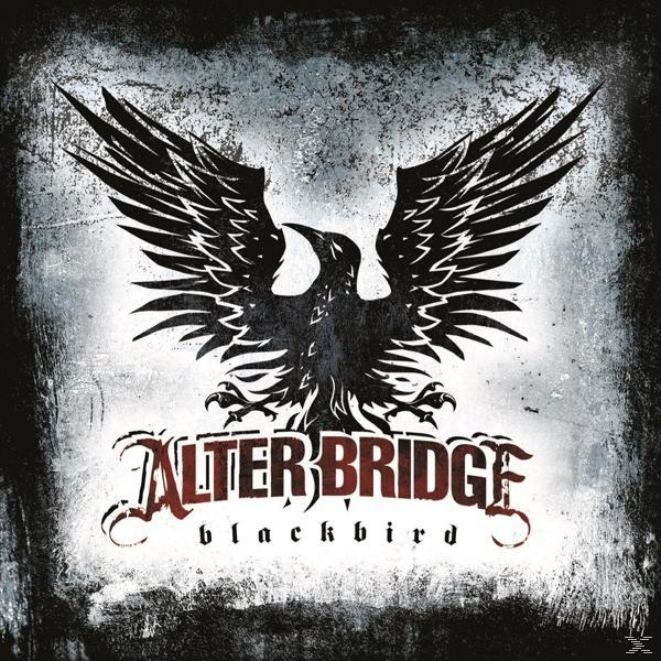 Albumcover. Schwarzer Rabe mit ausgebreiteten Flügeln. Bandname Alter Bridge. Titel Blackbird.