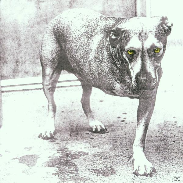 Alice In Chains - (CD)