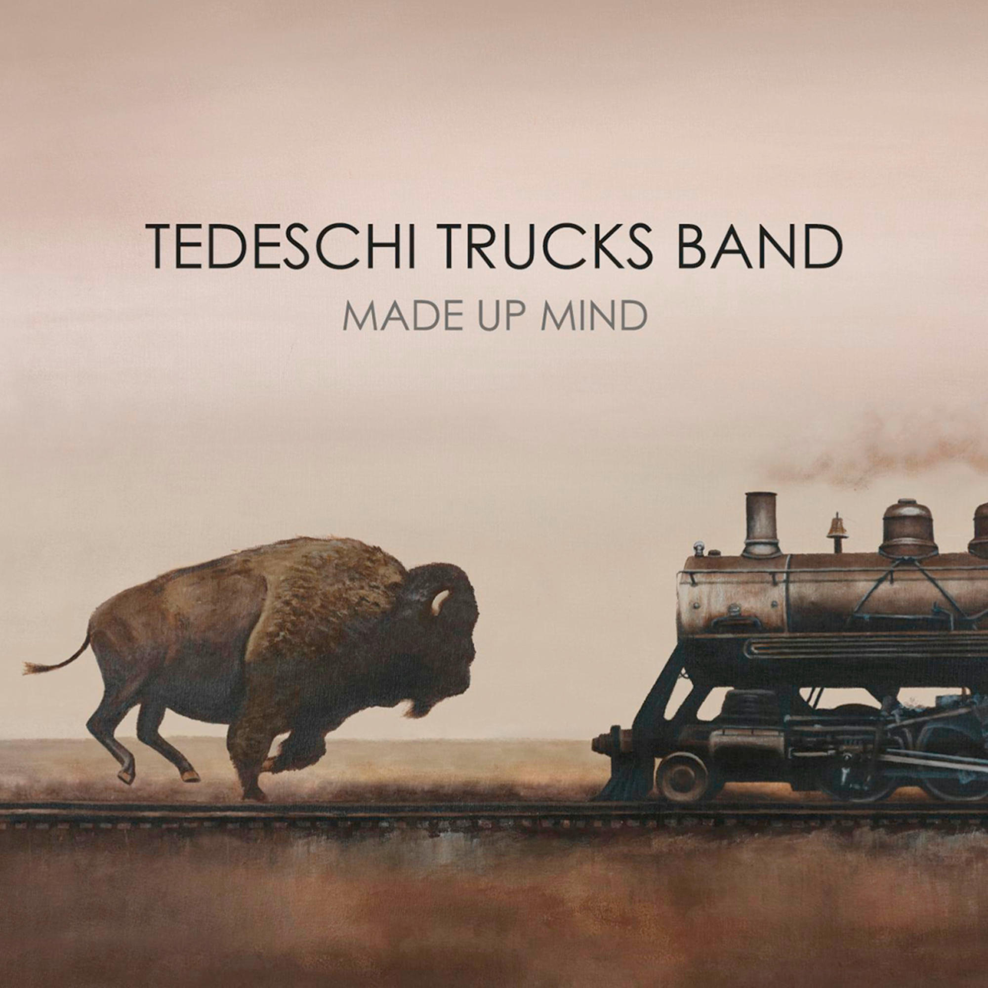 Tedeschi Trucks Band - Made Up Mind  - (CD)