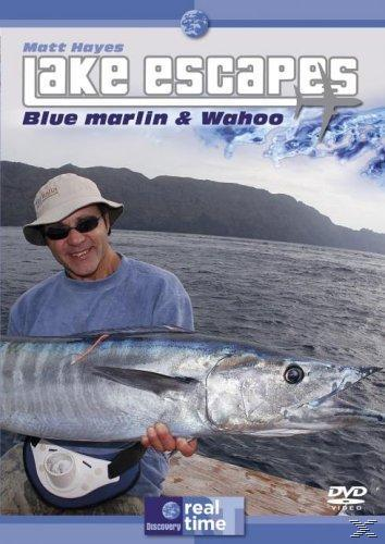 Matt Hayes - Lake Escapes Wahoo DVD Blue - and Marlin