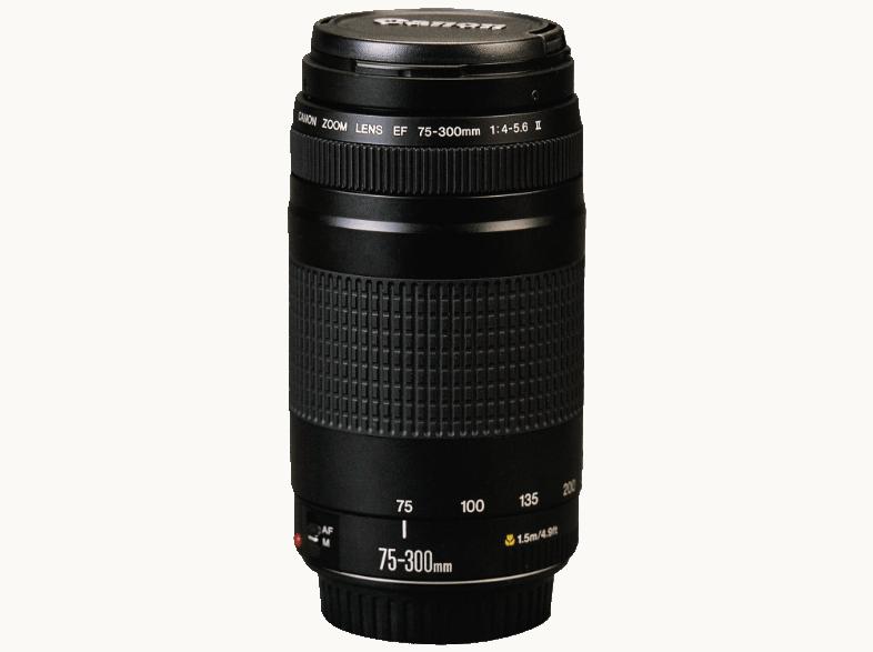 CANON EOS 100D + 18-55mm + 75+300 mm DC Lens Kit Dijital SLR Fotoğraf Makinesi