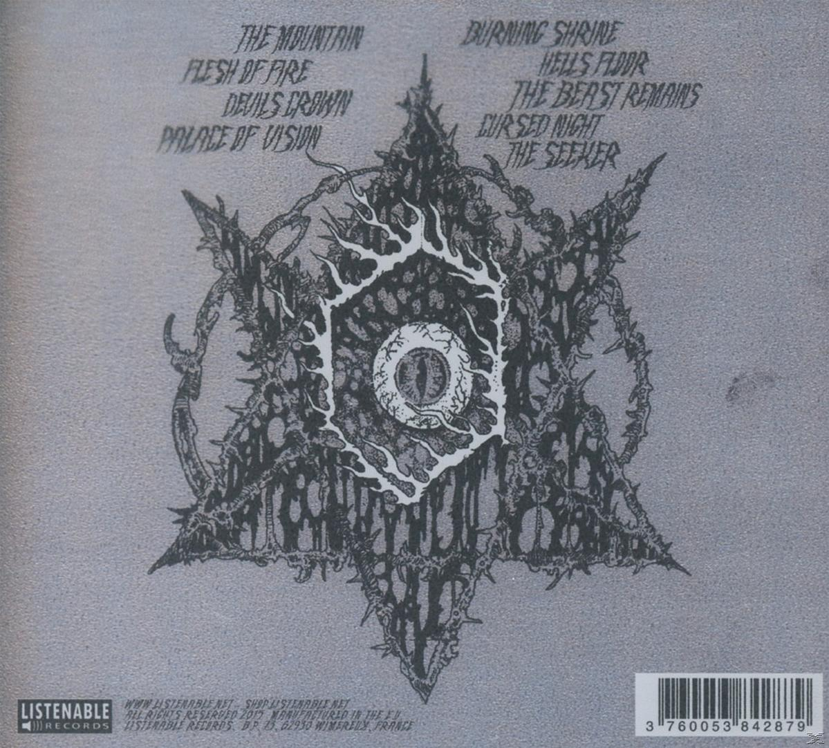 Saviours - Palace Of Vision  - (Vinyl)