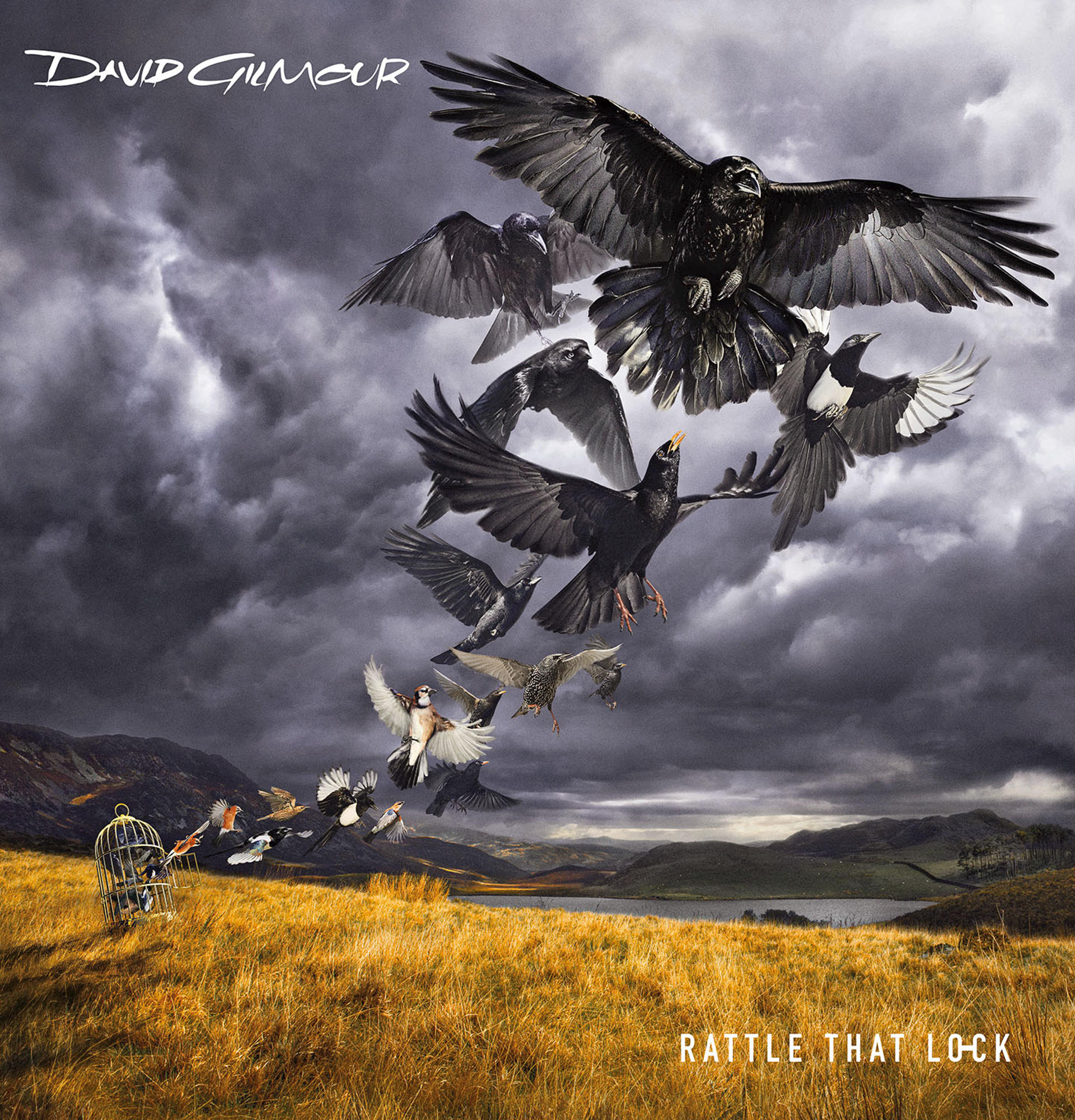 Albumcover. David Gilmour, 'Rattle That Lock'. Schwarze Vögel, grauer Himmel, goldenes Feld.
