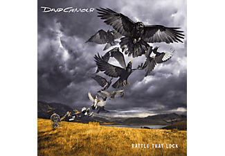 David Gilmour - Rattle That Lock  - (CD)