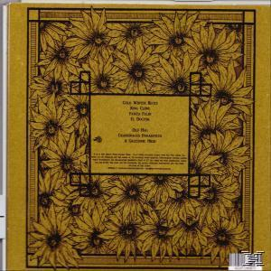 Old Man Lizard - Old Man Lizard  - (CD)