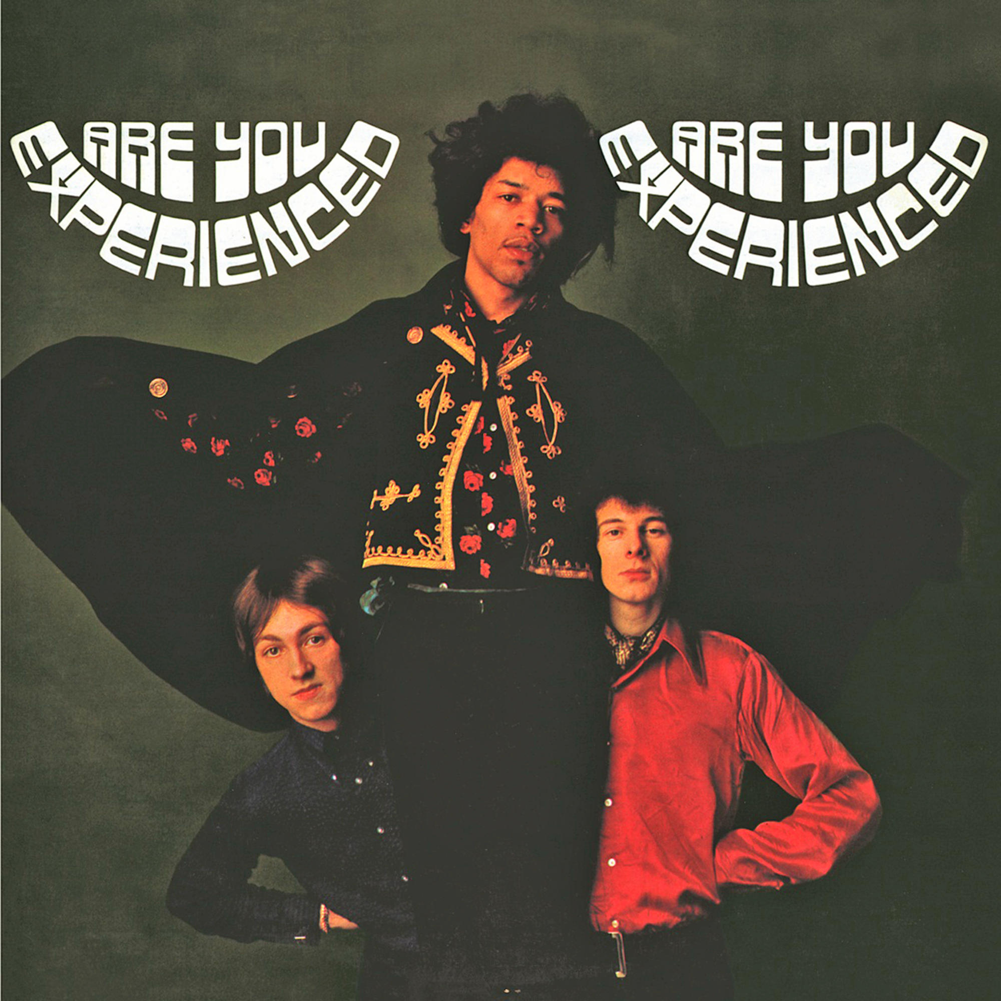 The Jimi Hendrix - you experienced - Are Experience (Vinyl)