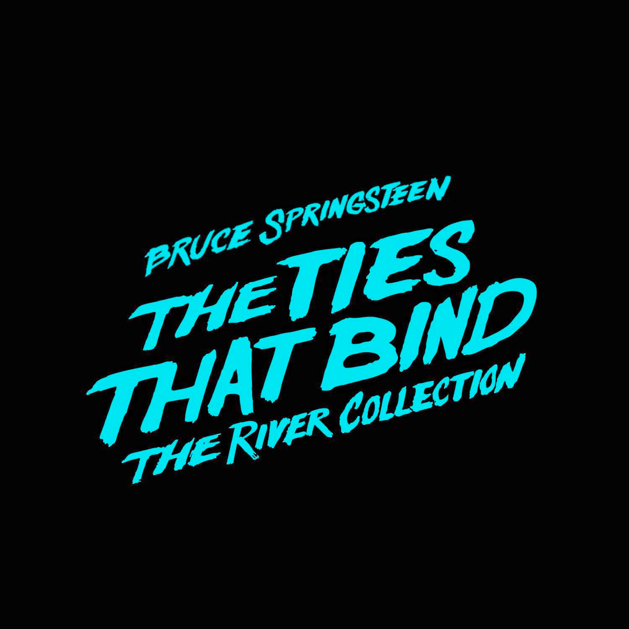 Bruce Springsteen - The Ties That Bind: The River Collection  - (CD)