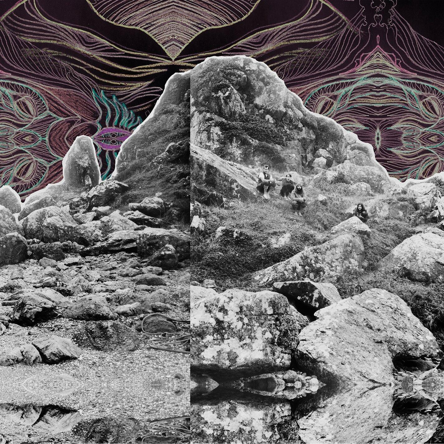 All Them Witches (CD) Surfer Meets His - - Dying Maker