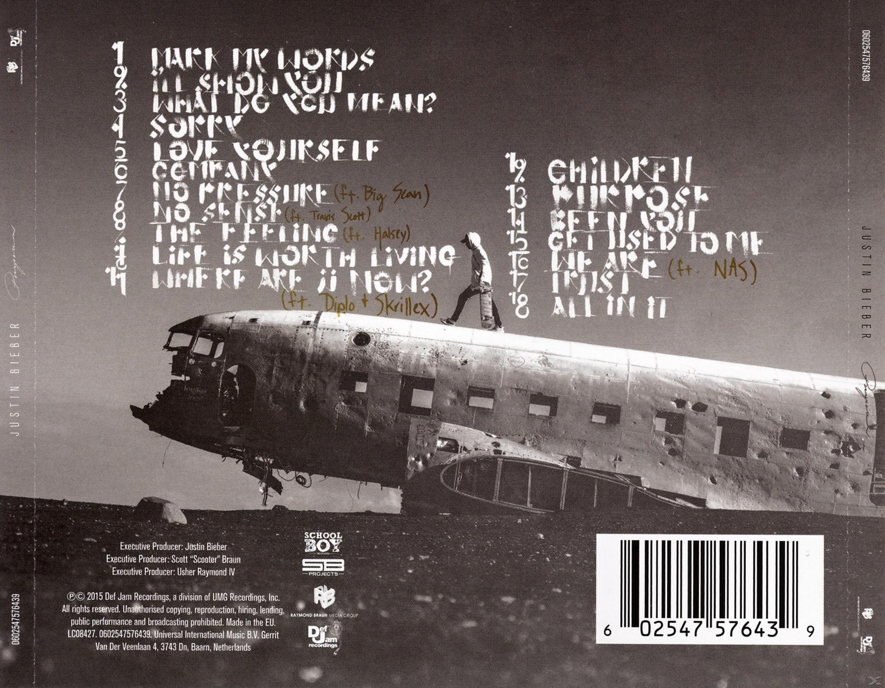 Justin Bieber's albumhoes, een persoon op een neergestort vliegtuig, woestijnachtergrond, album tracklist zichtbaar.