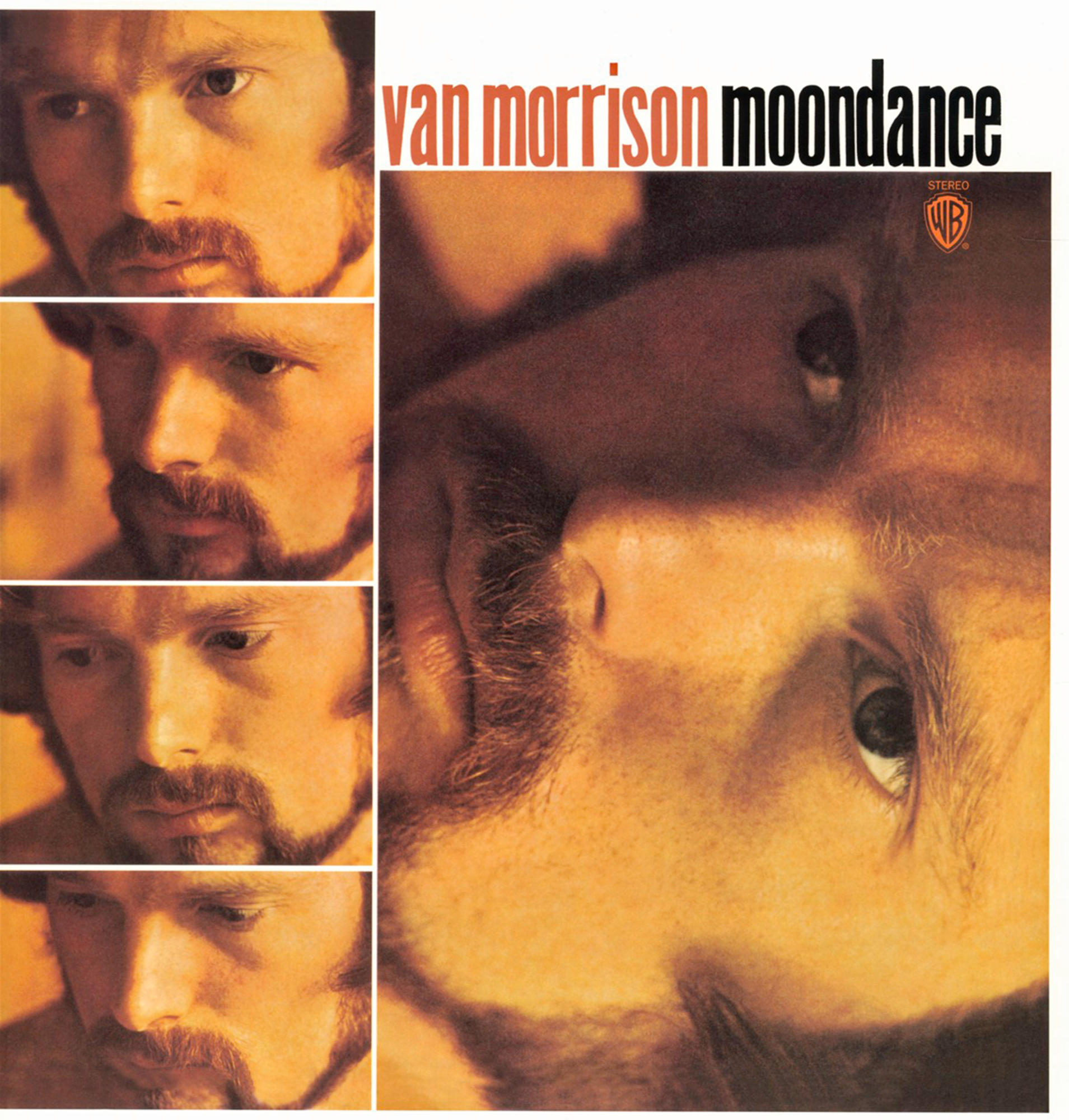 Albumcover mit Porträt von Van Morrison. Der Titel lautet 'Moondance'.