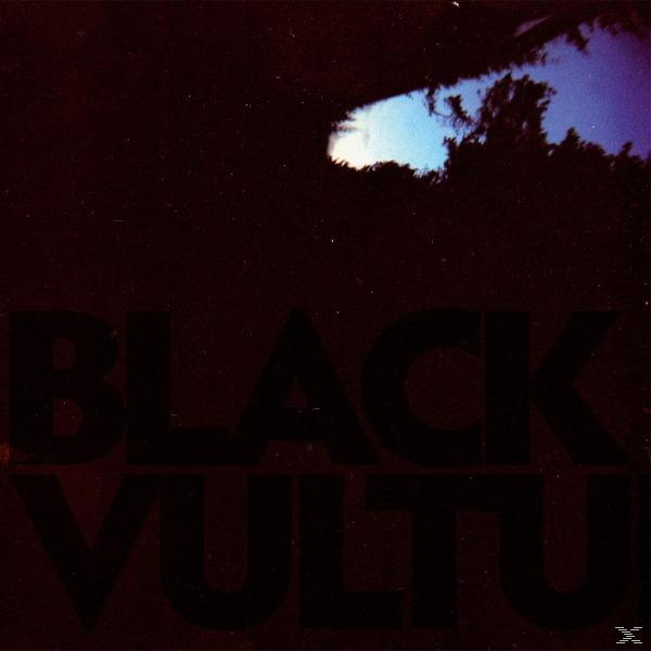 (Vinyl) - (Vinyl Single) Vultures Black Norgren Daniel -