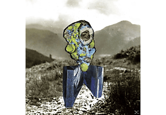 Richard Dawson - The Glass Trunk  - (LP + Download)