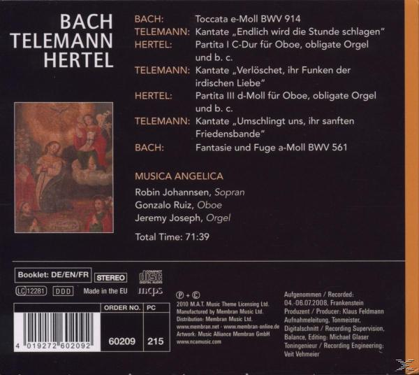 VARIOUS - Musica Angelica  - (CD)
