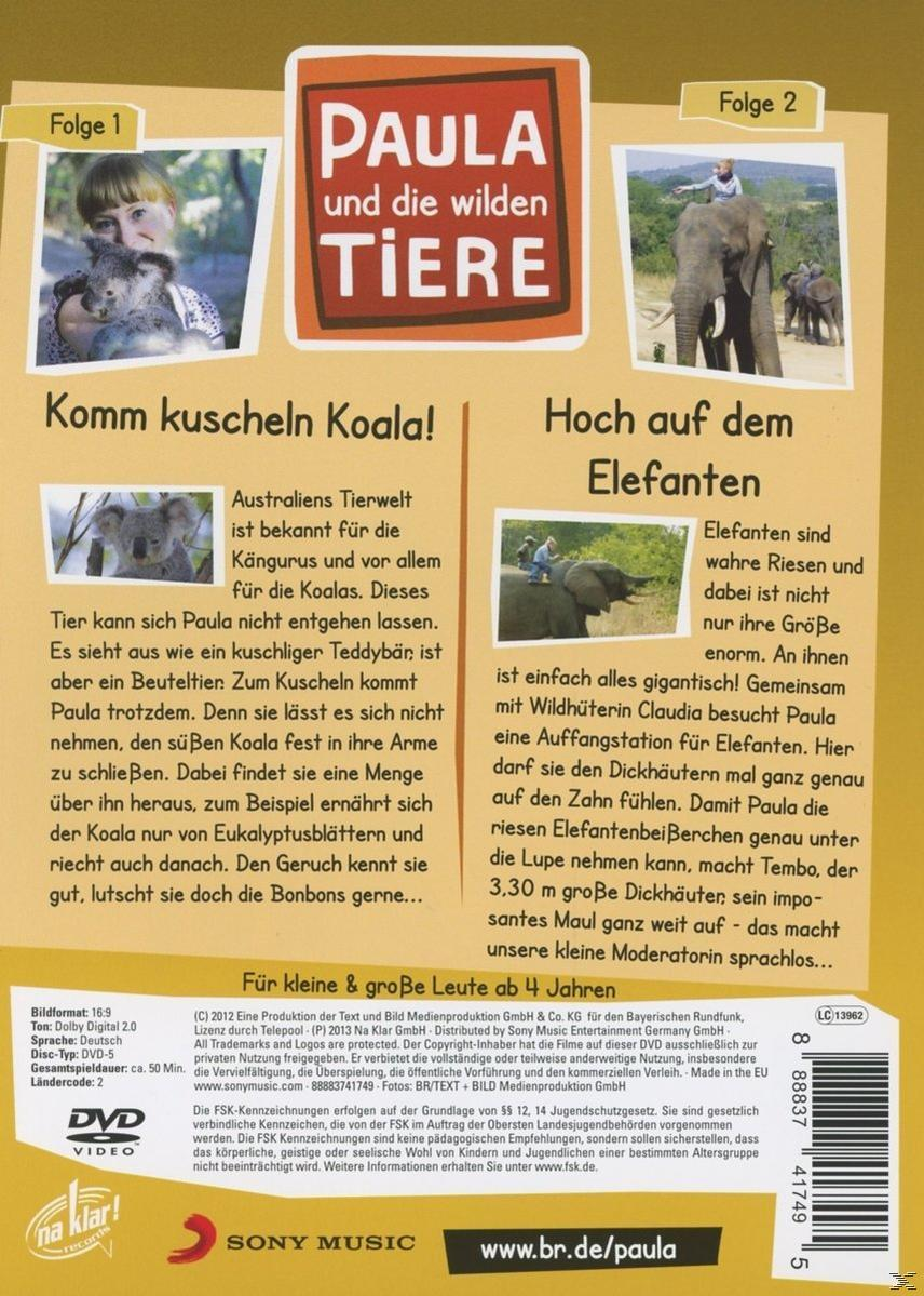 Vol.3: Komm Kuscheln Koala!/Hoch Auf Dem Elefan DVD