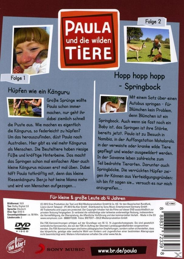Vol.6: Hüpfen Wie Ein Hopp- Hopp DVD Känguru/Hopp
