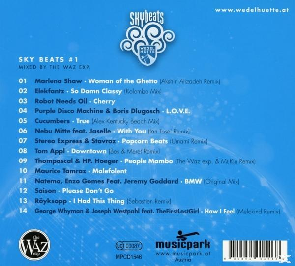 VARIOUS - Skybeats 1 (Wedelhütte)  - (CD)