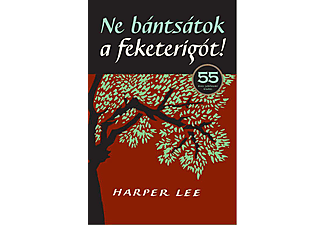 Harper Lee - Ne bántsátok a feketerigót!