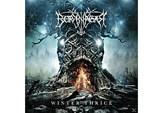 Borknagar - Winter Thrice (CD)