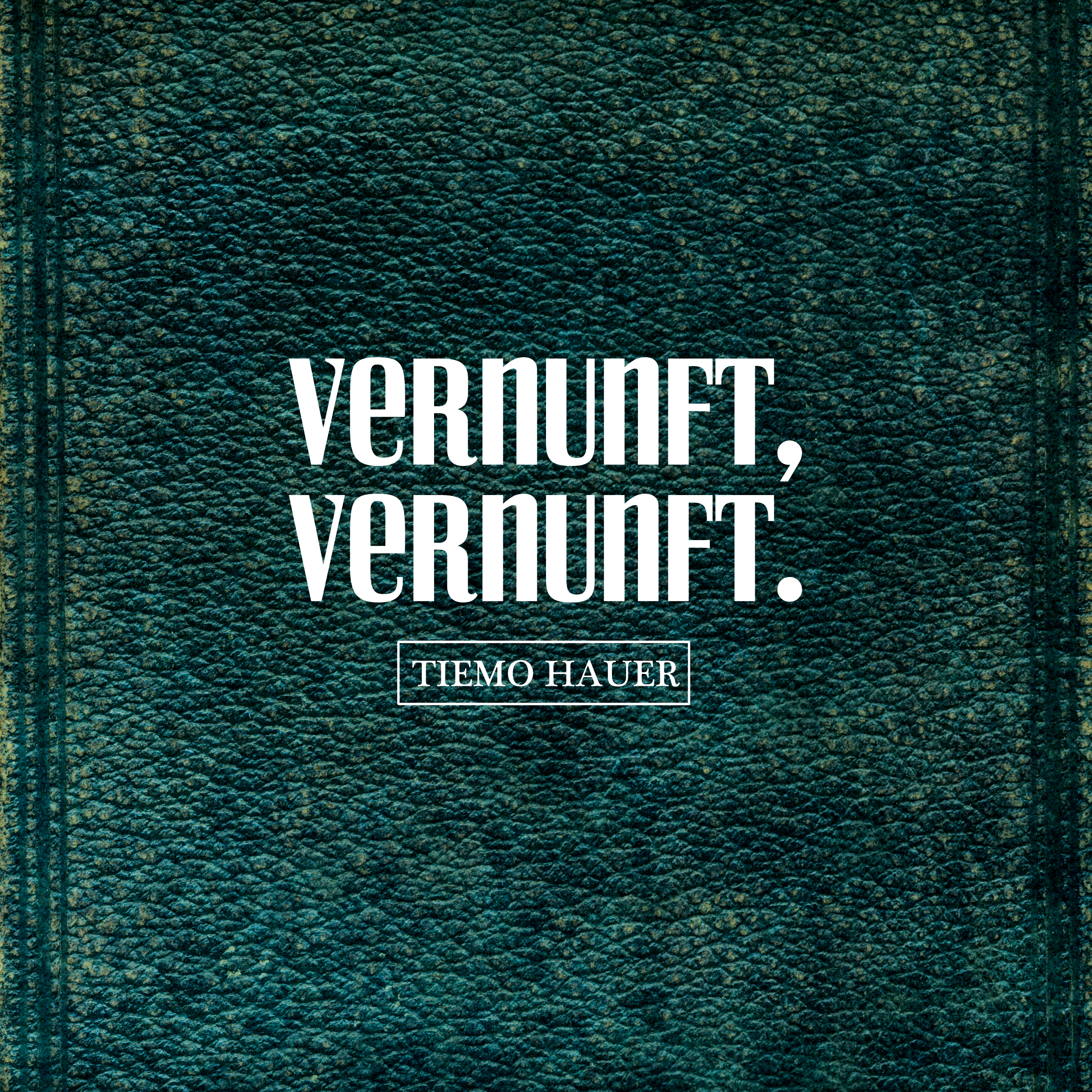 (Vinyl) - - VERNUNFT. VERNUNFT, Tiemo Hauer