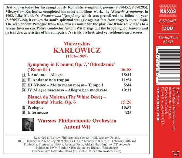CD-Cover. Text enthält den Namen des Komponisten, Symphonie-Details und Orchesterinformationen. Rotes Naxos-Logo oben rechts.