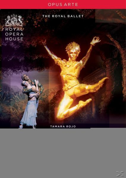 - Ovsyanikov/Royal [Uk La Import] Ballet - (DVD) Bayadere