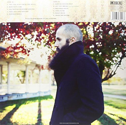 William Fitzsimmons - Gold In The Shadow (Lp+Cd)  - (LP + Bonus-CD)