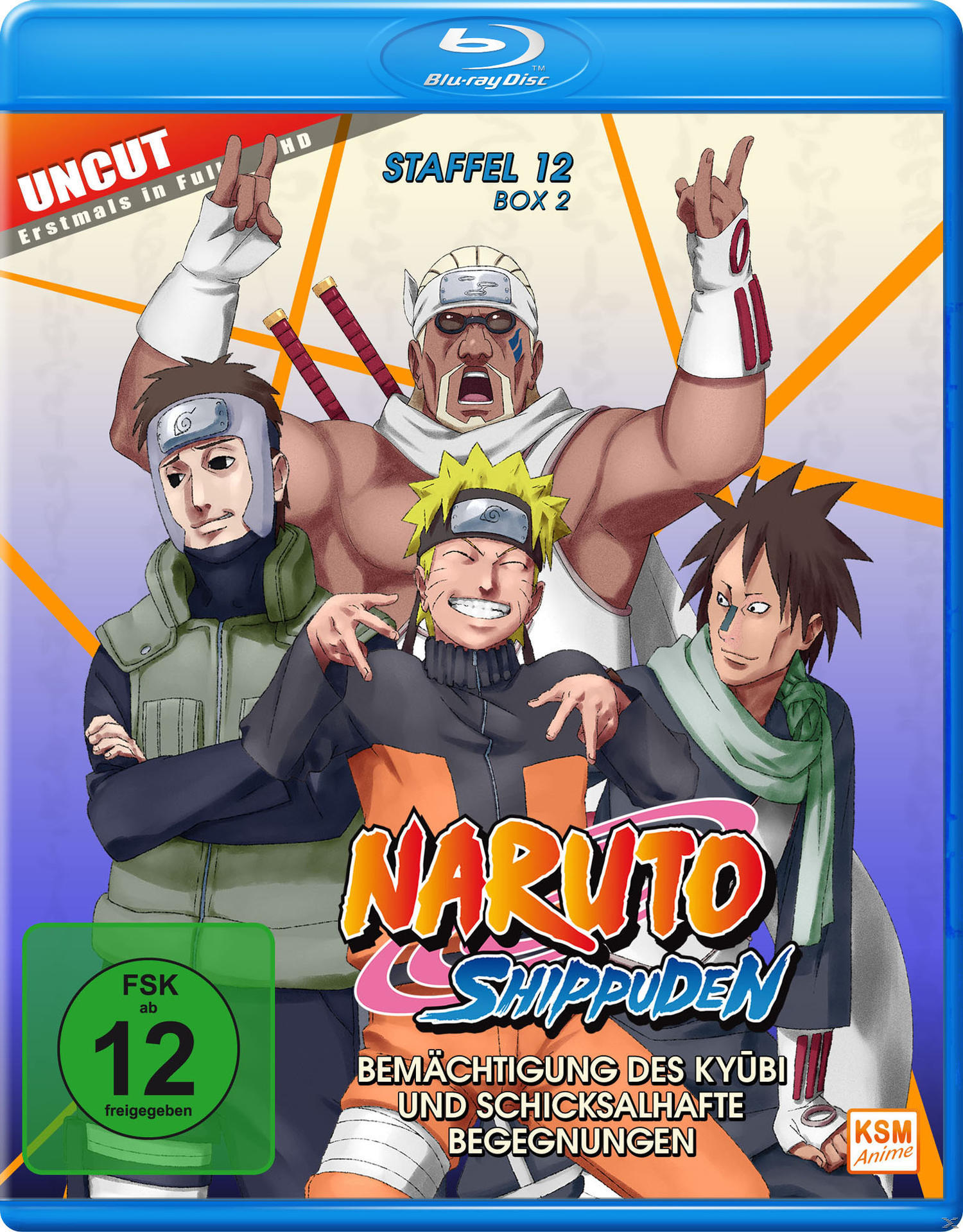 Naruto Shippuden - 2 12 Blu-ray Staffel Box 