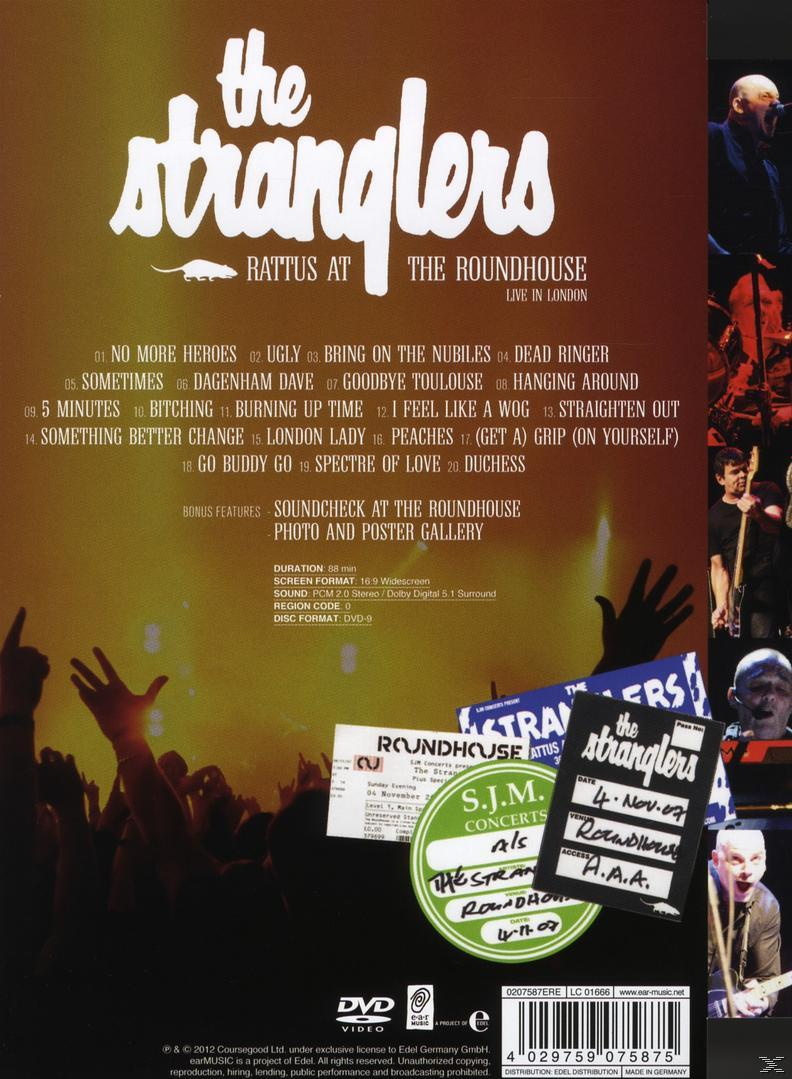 - The The - (DVD) At Roundhouse Stranglers Rattus