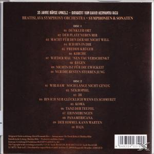Rückseite einer CD mit Songtiteln und Text über den Künstler, in Brauntönen.