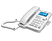 TESAN TK3800 Masa Üstü Telefon Beyaz Gümüş