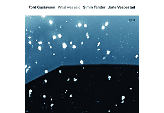 Jarle Vespestad, Gustavsen Tord, Simin Tander - What Was Said  - (CD)