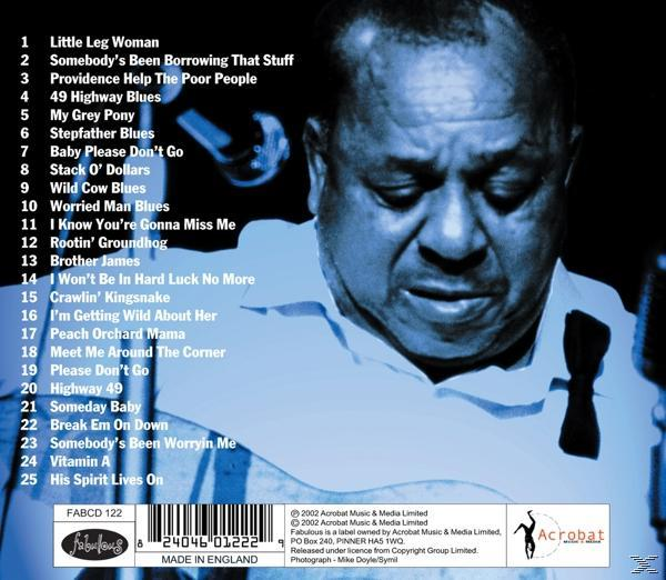 Big Joe Williams - Po'Joe  - (CD)