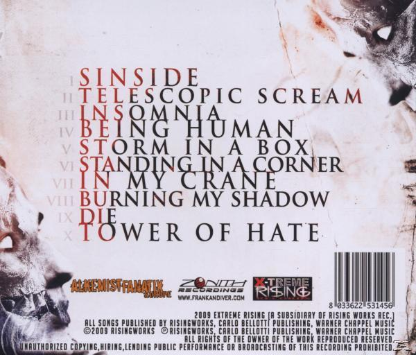 Insanity Arise - Sinerside  - (CD)