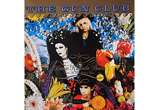 The Gun Club - Danse Kalinda Boom  - (Vinyl)