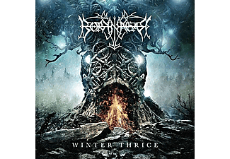 Borknagar - Winter Thrice (Vinyl LP (nagylemez))