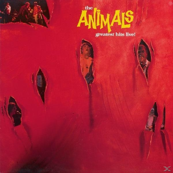 Album borító: The Animals, Greatest Hits Live! Piros háttér, zenekari tagok képeivel.