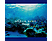 Shinji - Aqua Blue (CD)