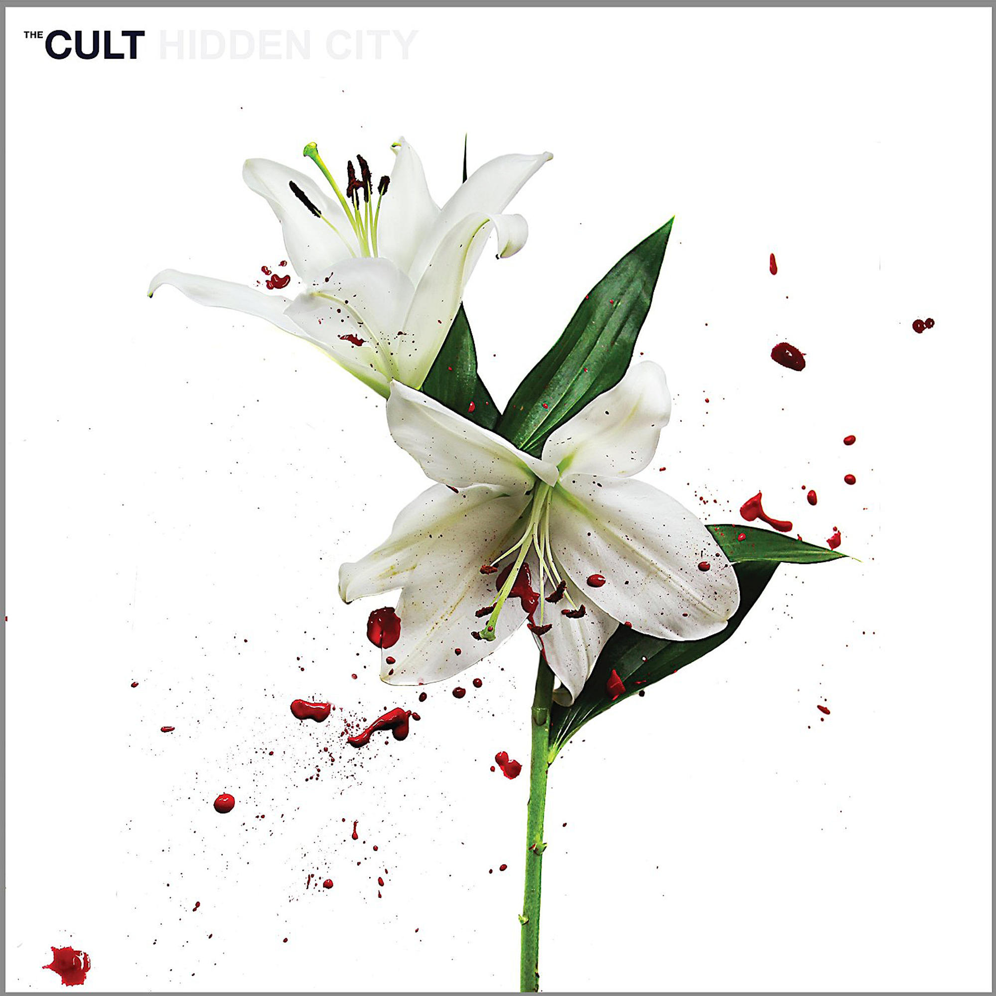 Weiße Lilien mit grünen Blättern auf weißem Grund, rote Farbspritzer und der Bandname 'The Cult'.