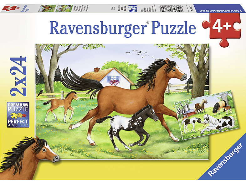 RAVENSBURGER 88829 Puzzle Mehrfarbig