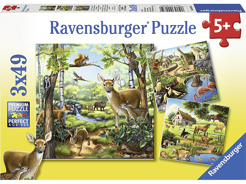 RAVENSBURGER 092659 Wald-/Zoo-/Haustiere