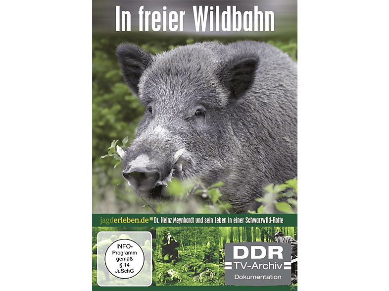 In freier Wildbahn DVD