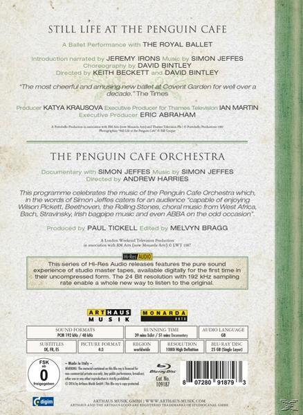 Jeffes/Penguin Cafe Orchestra/ - Cafe/24 - The Live Penguin (Blu-ray) At Bi