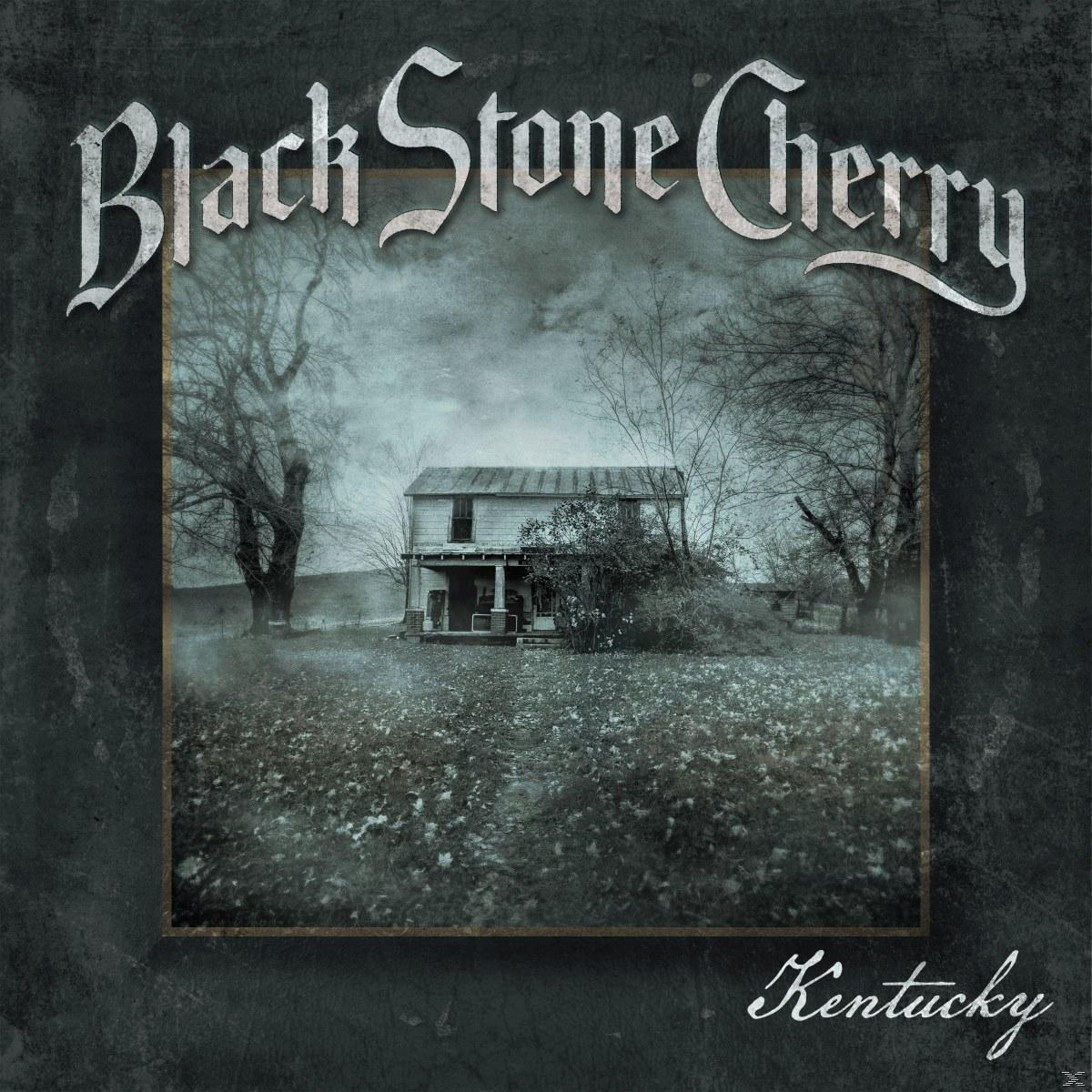 Album borító egy ház a mezőn, fákkal. A 'Black Stone Cherry' zenekar neve felül.