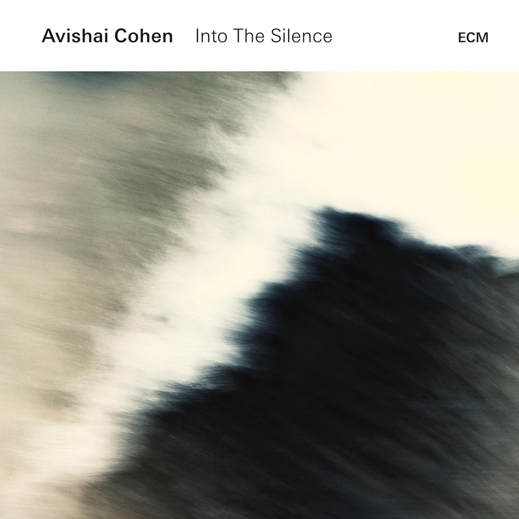 Avishai Cohen - Into The Silence  - (CD)
