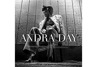 Andra Day - Cheers to the Fall (Vinyl LP (nagylemez))