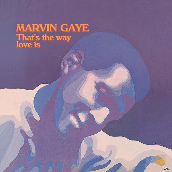 Pochette d'album avec Marvin Gaye. Portrait avec des teintes bleues et violettes.