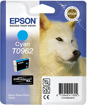 EPSON Original Tintenpatrone Cyan (C13T09624010)