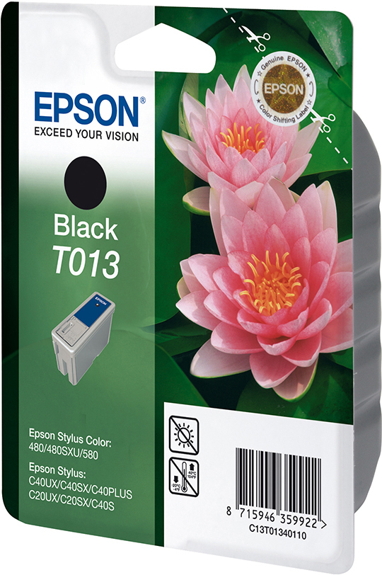 EPSON Original Tintenpatrone Schwarz (C13T01340110)