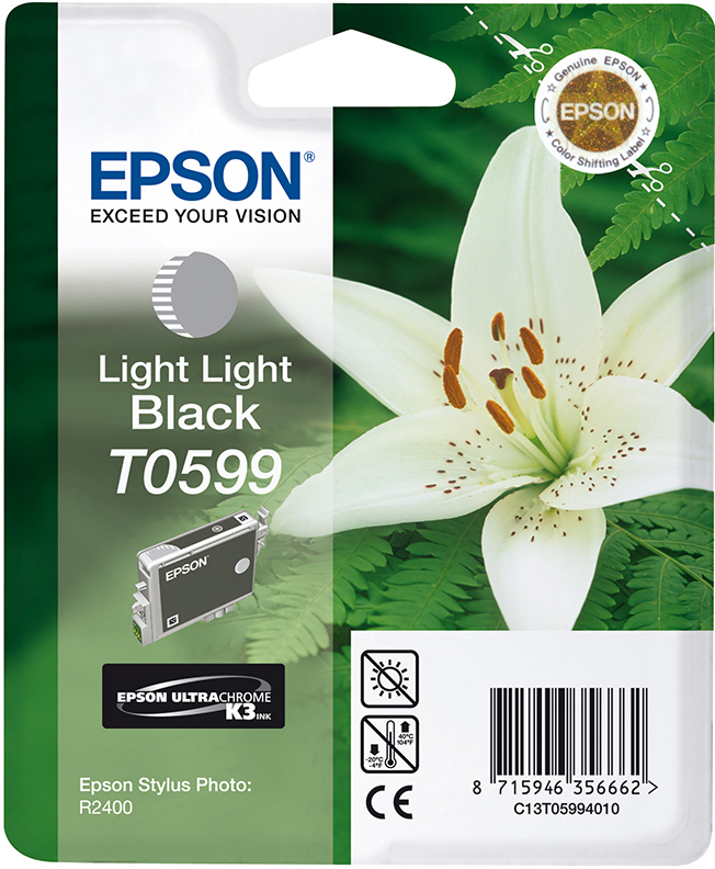 EPSON Original Tintenpatrone Light Light Schwarz (C13T05994010)